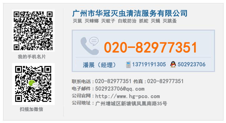 廣州滅鼠公司